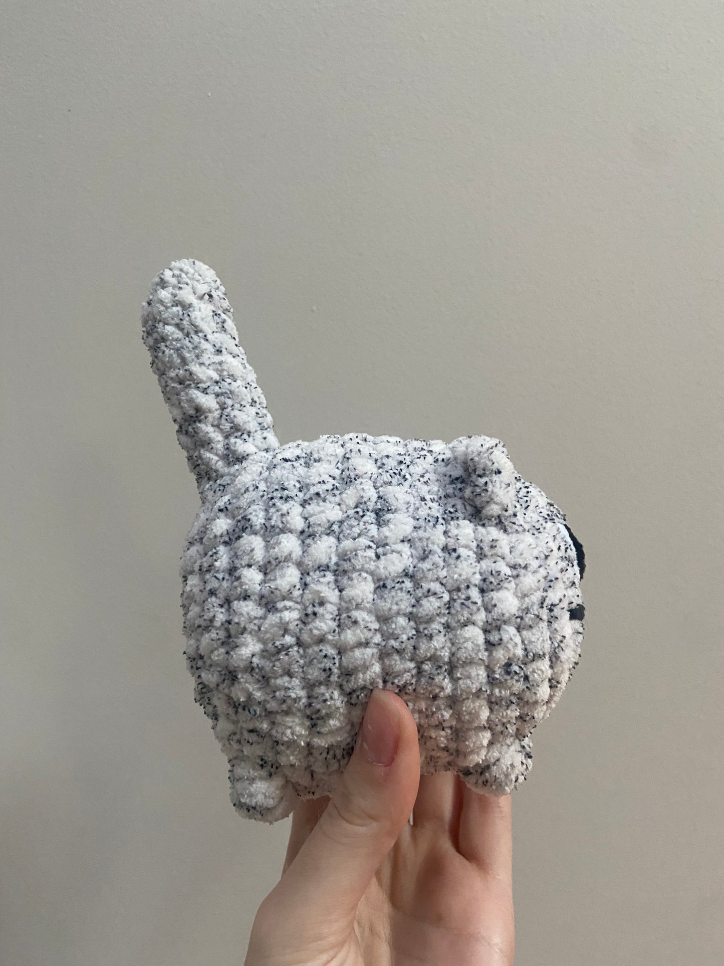 Chat brioche