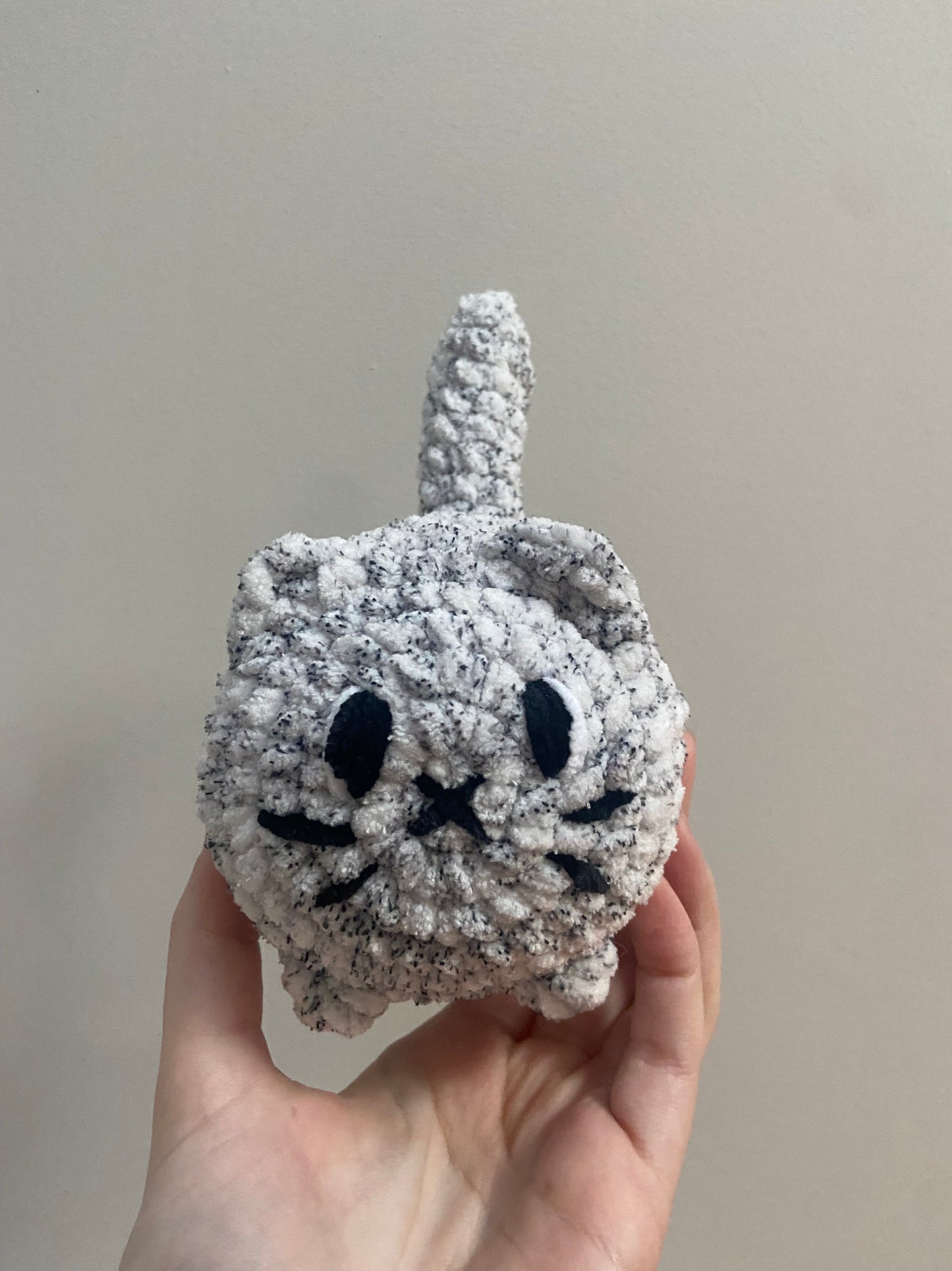 Chat brioche