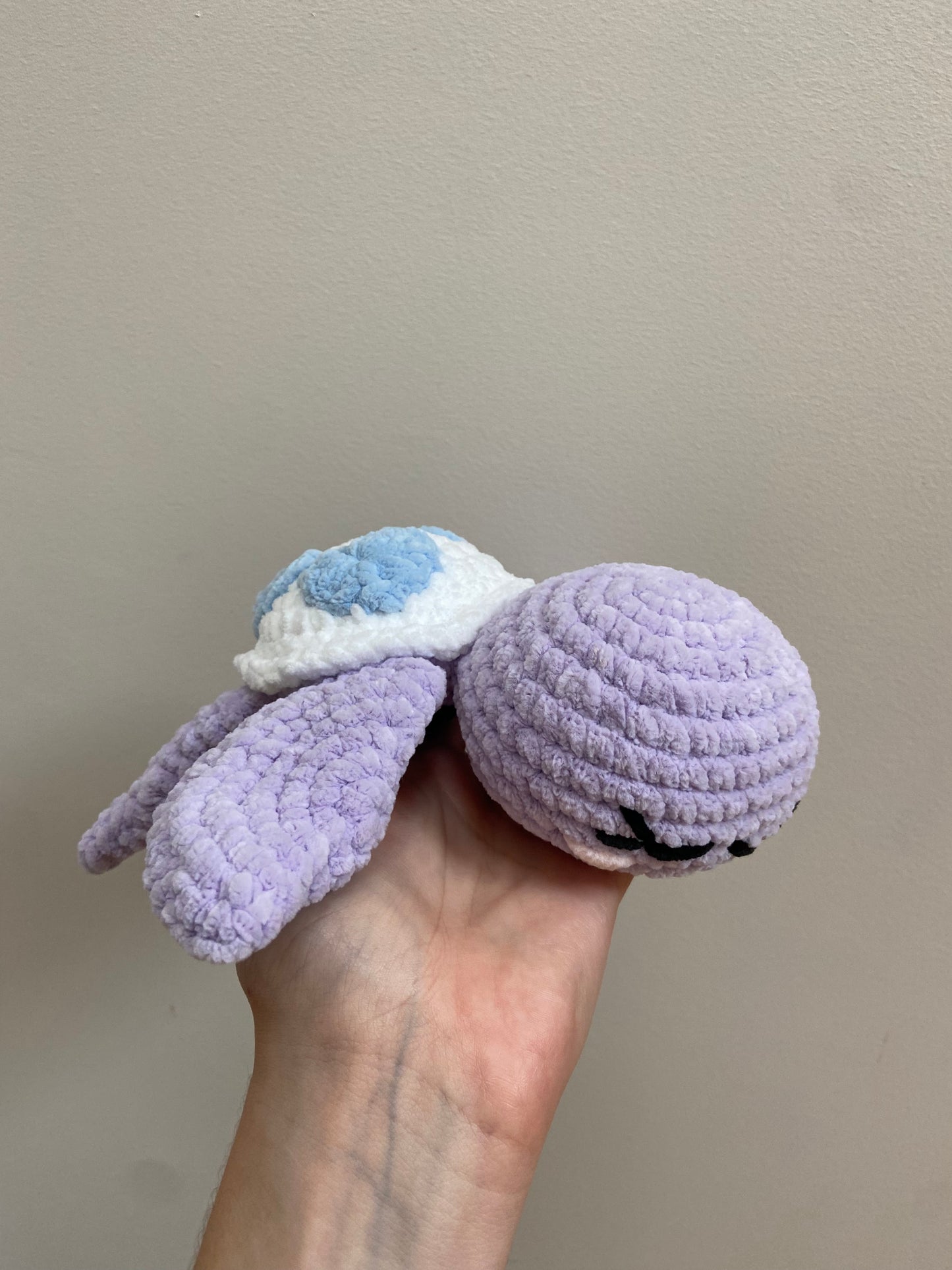 Tortue cœur