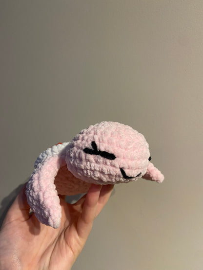 Tortue cœur