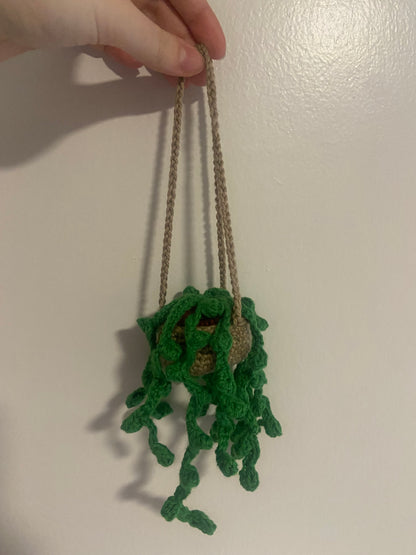 Plante pendante