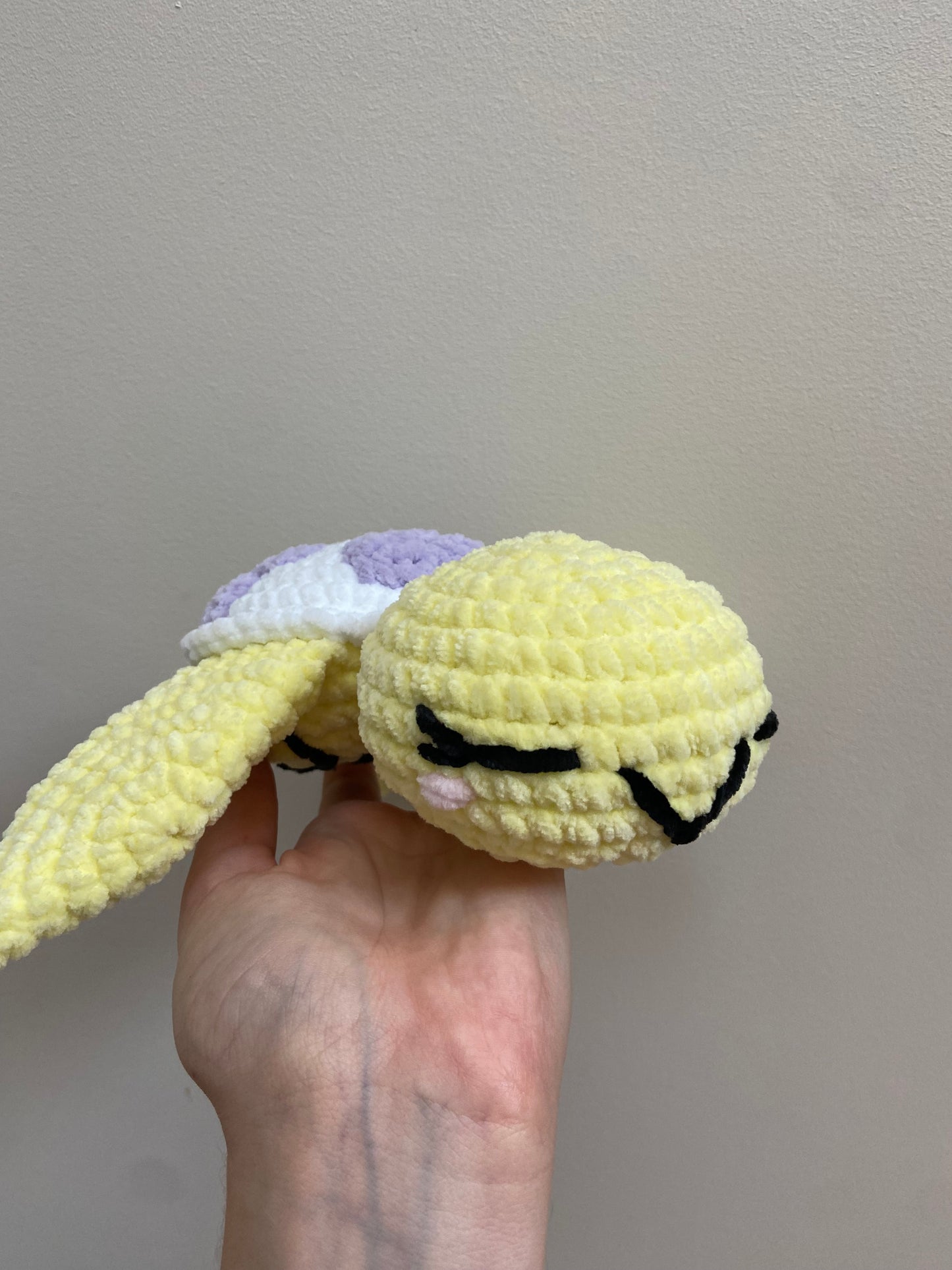 Tortue cœur