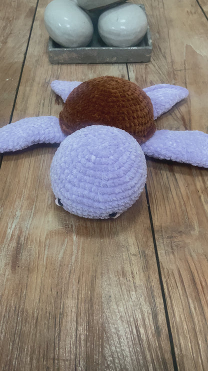 Tortue